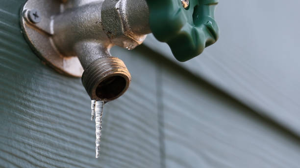 Best Septic Systems  in Braselton, GA
